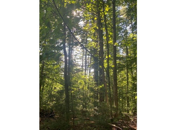 Lot 35 Middle Creek Road, Blairsville, GA 30512