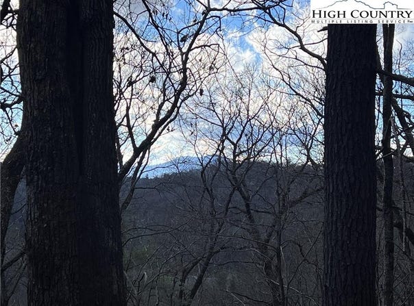 Locust Point Drive, Boone, NC 28607