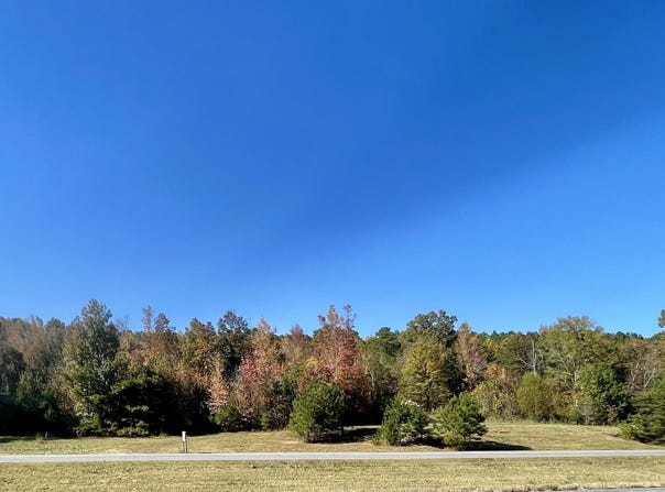Lot #5 HIGHWAY 75, ONEONTA, AL 35121