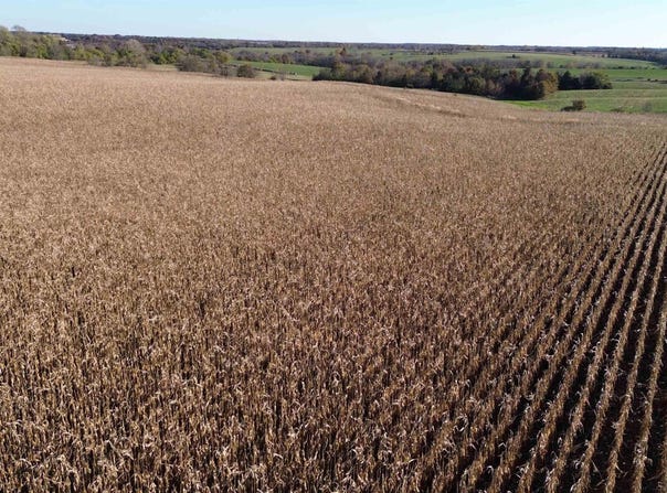 52 A Scarlet Avenue, Bloomfield, IA 52537