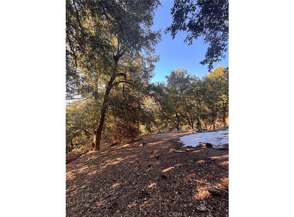 0 North Rd, Twin Peaks, CA 92391