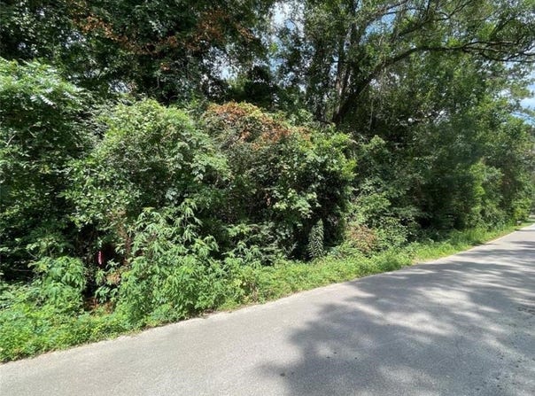 181 Maple Ln, Other, TX 77357-2836