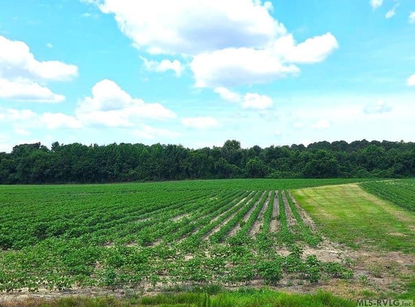 Highway 125, Roanoke Rapids, NC 27870