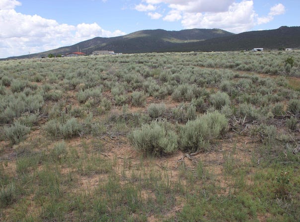 Lot A Shirley Drive, Questa, NM 87556-0000