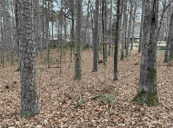 Silleda Ln lot: 9, Hot Springs Village, AR 71909