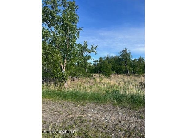 L5 B7 E Blue Atlas Circle, Palmer, AK 99645