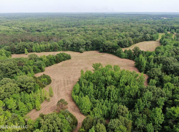 656 Sunset Drive, Coldwater, MS 38618