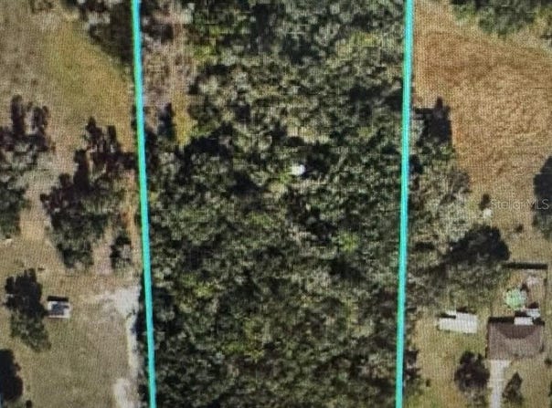 CR 609B, BUSHNELL, FL 33513