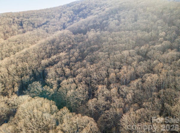 Wildflower Cove Road, Swannanoa, NC 28778
