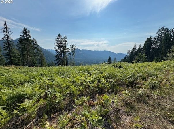 1281 SZYDLO Rd, Carson, WA 98610