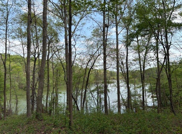 438 Arrowhead Lake Trail, Westminster, SC 29693