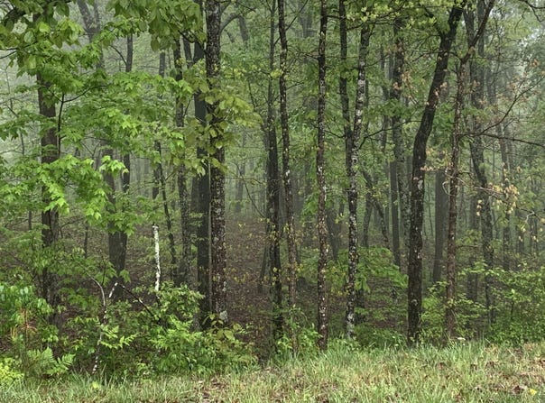 225 Prospectors Way, Jasper, TN 37347