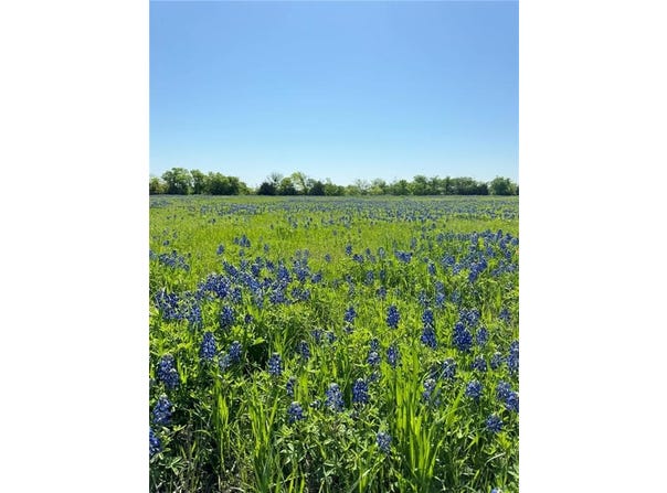 5.72 Acres FM 308 Road, Penelope, TX 76676