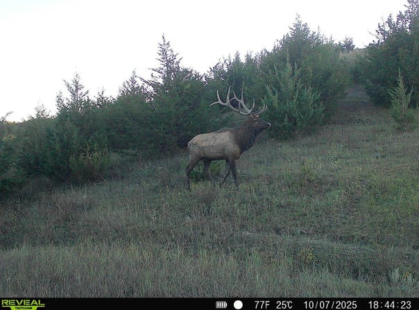TBD WP1, Lower Brule, SD 57548