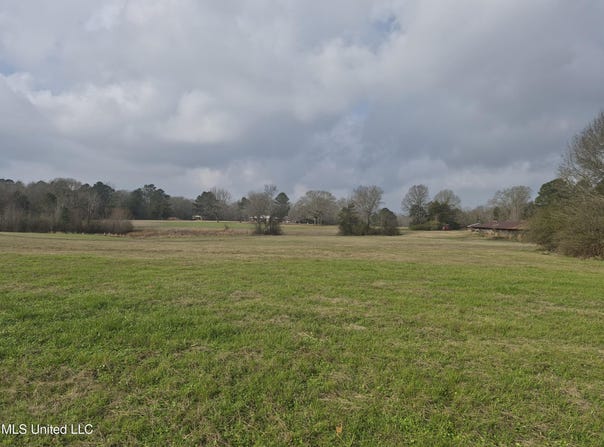 Pine Grove Road, Walnut Grove, MS 39189