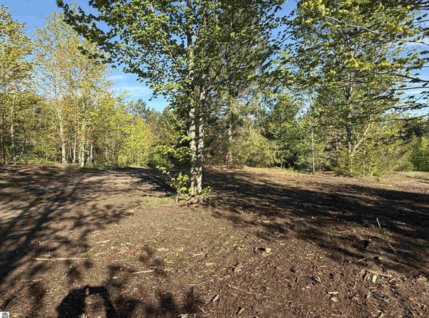 1007 E Solaris Way, Maple City, MI 49664