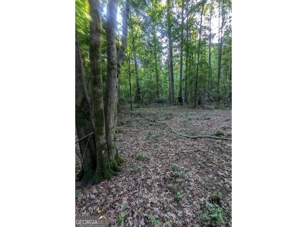 4.2 +/-ACRES River, Ellenwood, GA 30294