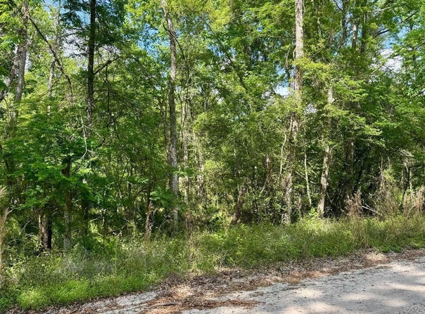 LT112 246TH TRAIL, OBrien, FL 32071