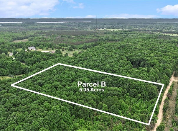 V/L Parcel B Lamerson Lane, Interlochen, MI 49643
