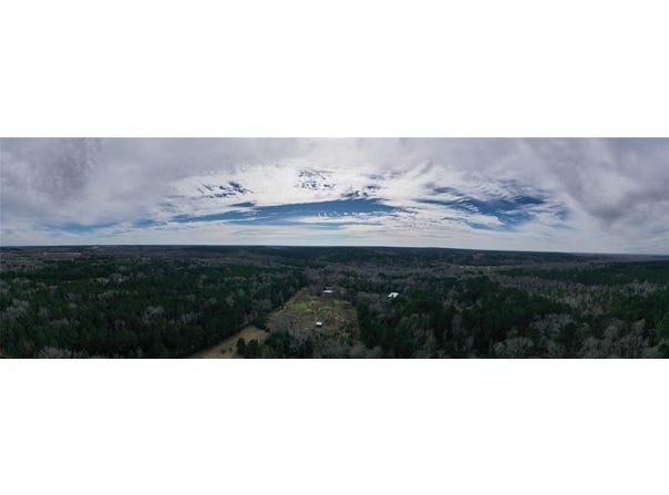 Tbd Lot 4 County Road 2240, Grapeland, TX 75844
