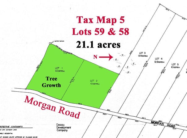 Morgan Road lot: 1 & 2, Burnham, ME 04848