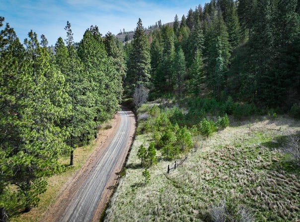 S Patit Creek Wooded Lot, Dayton, WA 99328
