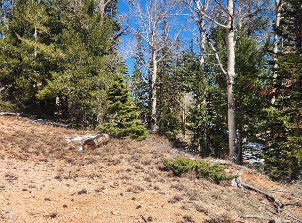 590 W Kokopelli Lp, Brian Head, UT 84719