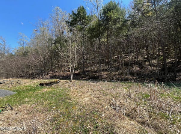 14790 HWY ROUTE 87, Williamsport, PA 17701