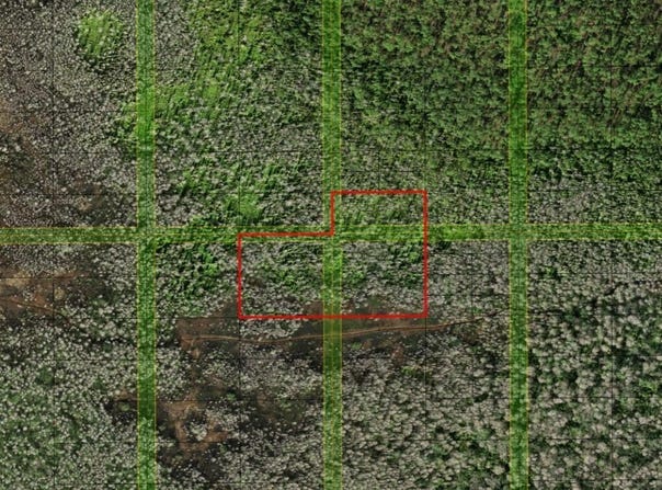 Holopaw Groves Road, St. Cloud, FL 34772