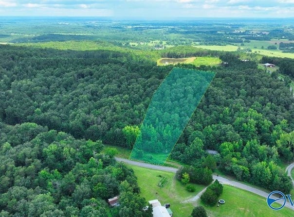 1454 N Pleasant View Road, Falkville, AL 35622