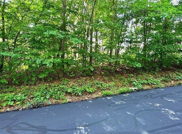 0 Rosie Gayle Drive NE, Palmyra, IN 47164