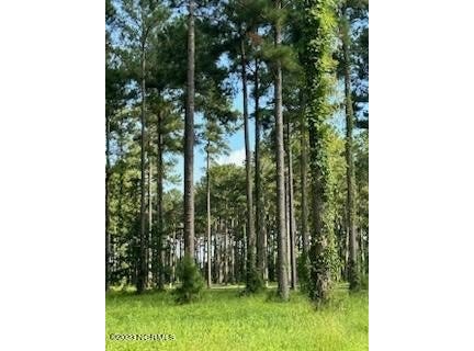 96 278 Dawson Creek Blvd lot: 96, Oriental, NC 28571
