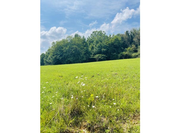 Tract Meadowstone Way, Corbin, KY 40701