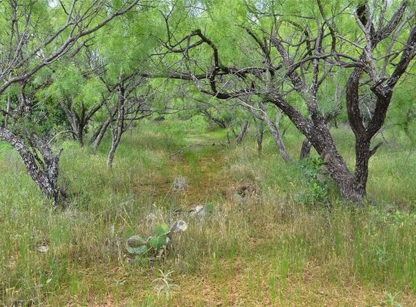 Tbd CR 119, Clyde, TX 79504