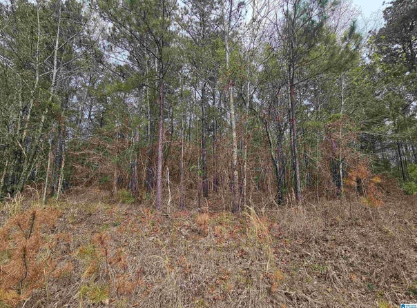 352 HUNTERS CROSSING ROAD, ODENVILLE, AL 35120