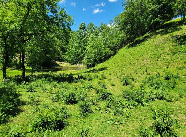 Tract 7 Sandy Valley Road, Rogersville, TN 37857