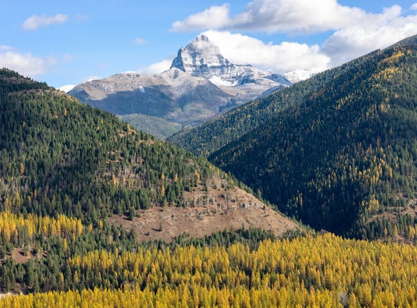 14273 Us-2, Essex, MT 59916