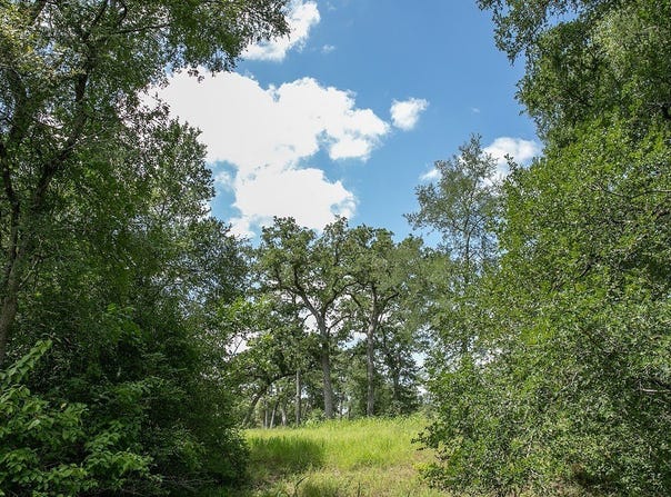 TBD Farm To Market 594, Burton, TX 77835