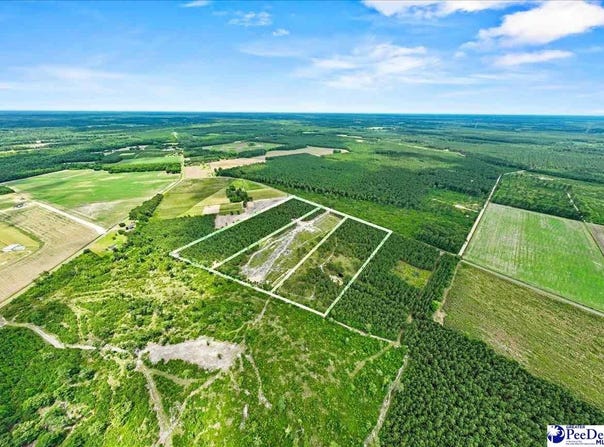 TBD Cockfield Road lot: 1, Scranton, SC 29591