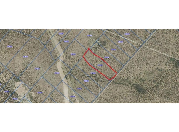 Grandfalls, TX 79742
