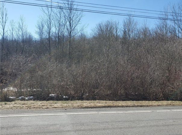 Lot 10 Stony Point Road, Ogden, NY 14559