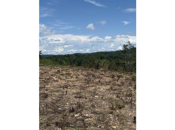 12952 Hwy 5 Highway, Norfork, AR 72658