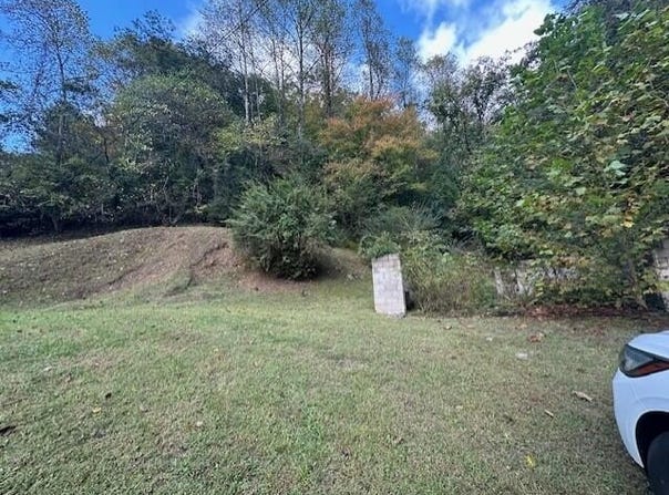 167 Ratliffs Cr, Pikeville, KY 41501