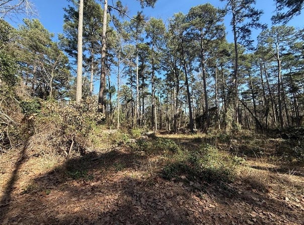 Lot 4 Private Road 8573, Winnsboro, TX 75494