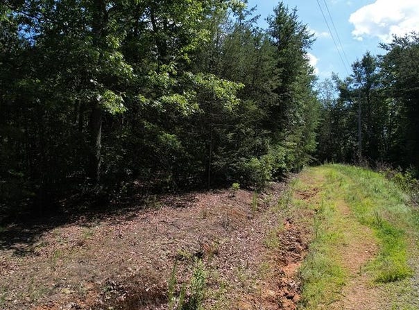 Flagpole Circle, Ellijay, GA 30540