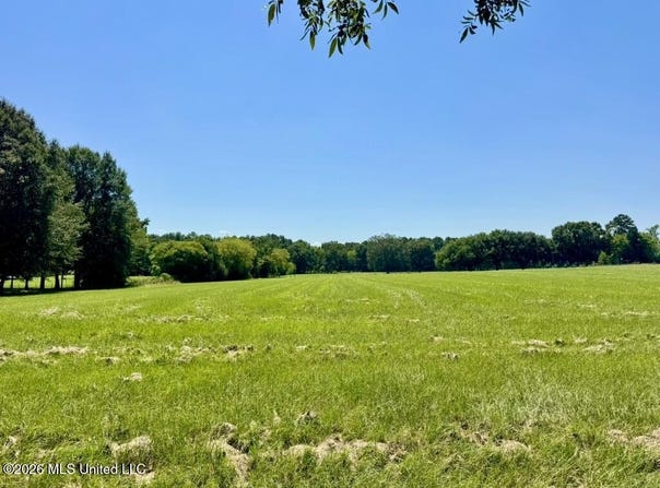 000001 Green Acres Drive, Canton, MS 39046