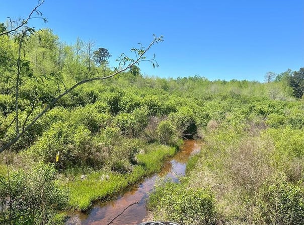 2500 Dean Church Rd, Ozark, AL 36360