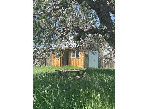 315 State Road 531, Tierra Amarilla, NM 87575