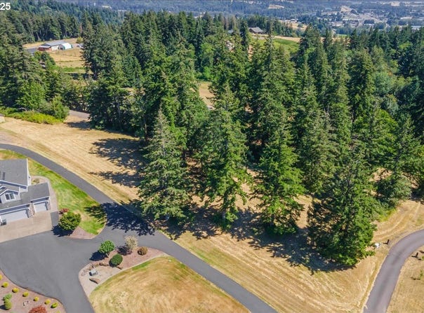 165 SATURN AVE, Woodland, WA 98674