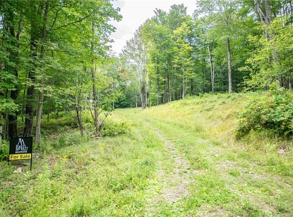 Beaver Creek Hollow Road lot: 8, Andes, NY 13752